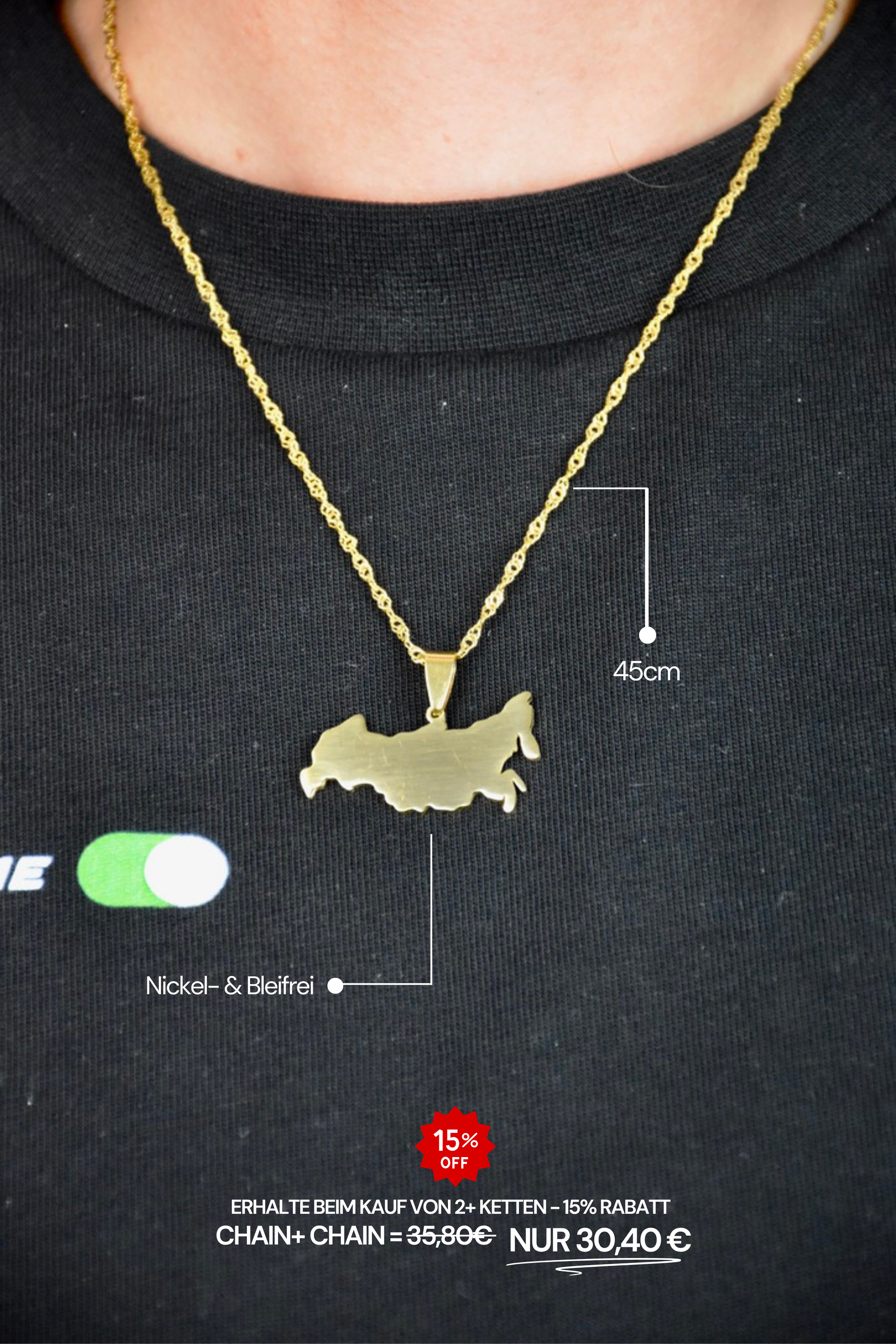 PASDANI "Россия" Chain